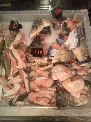 Real fish heads for sale